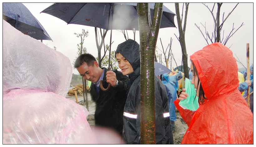 ��䓰幫˾��ۺ��� �c�R��һ��ֲ��